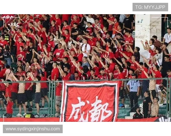 赛后混乱河南队球迷疑遭成都主队球迷围殴事件引发关注